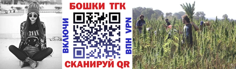 Виды наркотиков купить Катав-Ивановск А ПВП  Каннабис  Мефедрон  MDMA  КОКАИН  Гашиш  АМФЕТАМИН 
