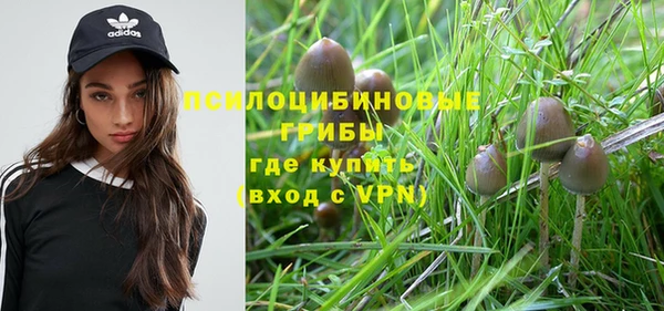 прущая мука Алзамай
