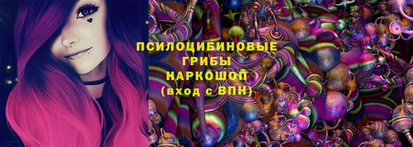 сатива Алексеевка