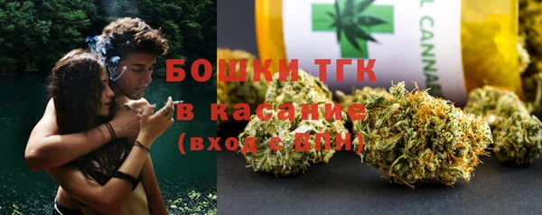 сатива Алексеевка