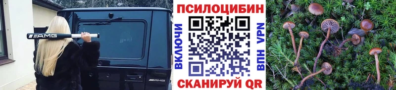 Псилоцибиновые грибы прущие грибы Катав-Ивановск