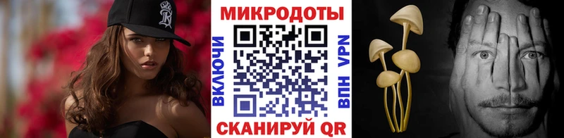 как найти закладки  Катав-Ивановск  Галлюциногенные грибы мицелий 